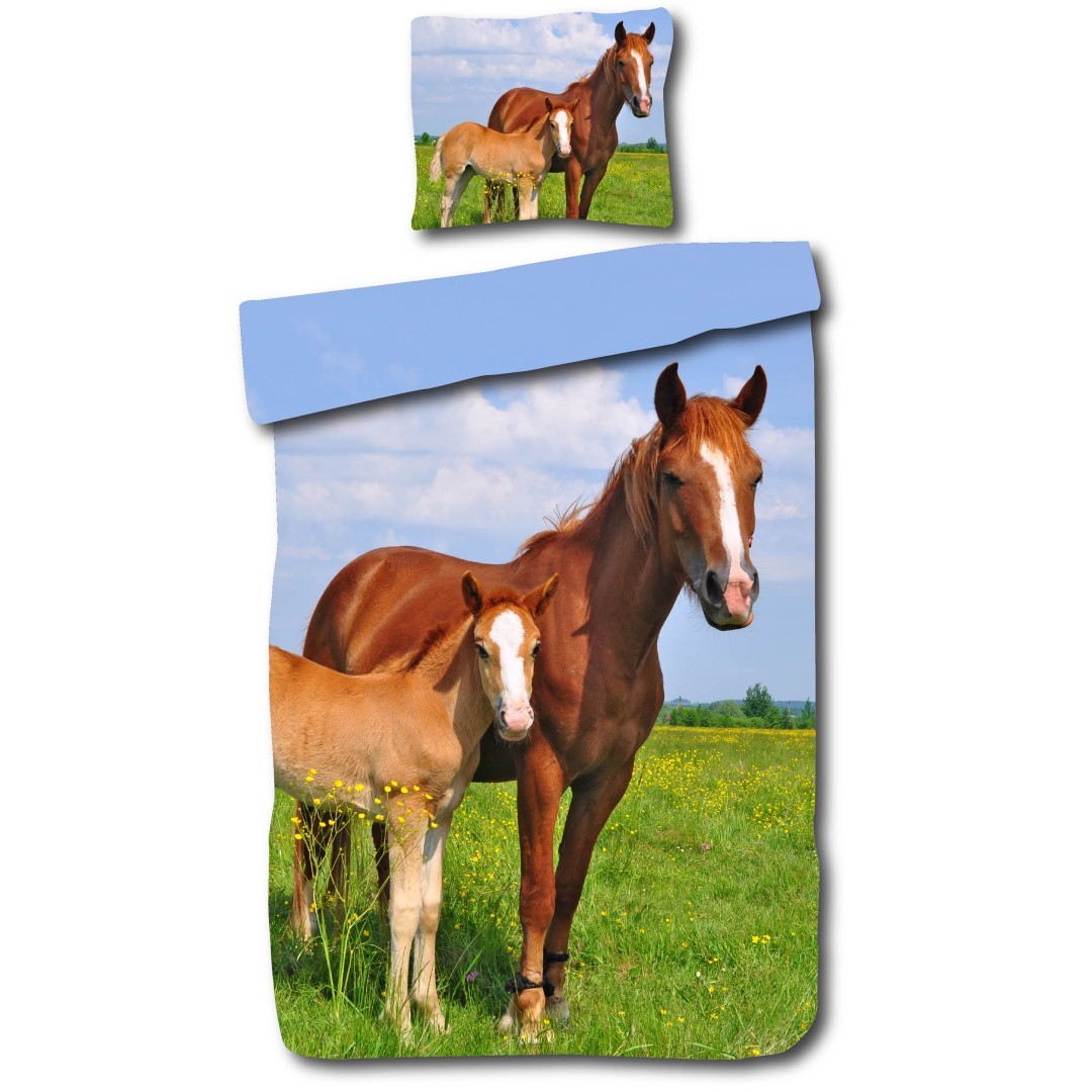 Paard